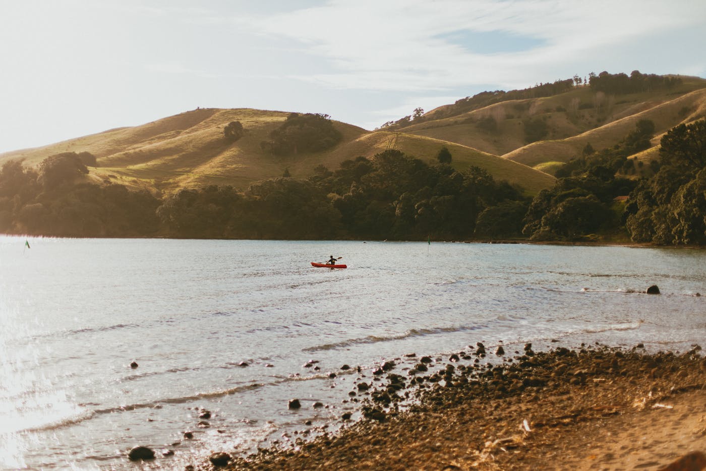 Buy NMN supplements New Zealand Auckland Wellington
