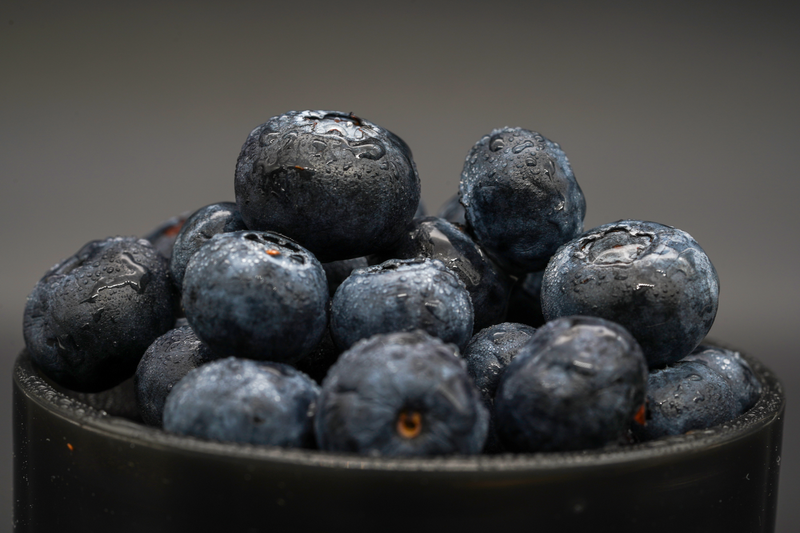 Quercetin senolytic supplement NMN formula explained