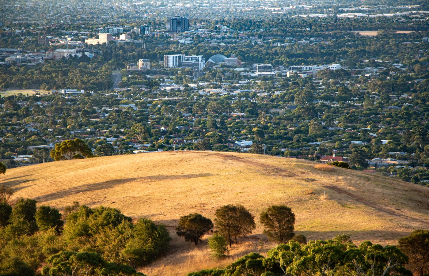 NMN supplements Adelaide South Australia 2026 guide
